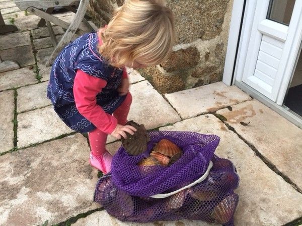 CSJ St Malo 14/11/2016